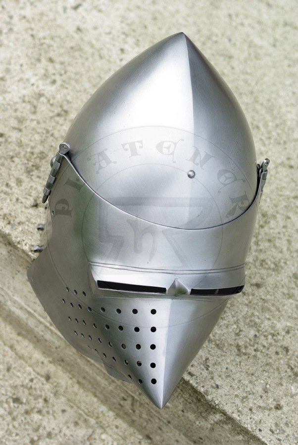Przy�bica typu psi pysk/Visored bascinet
